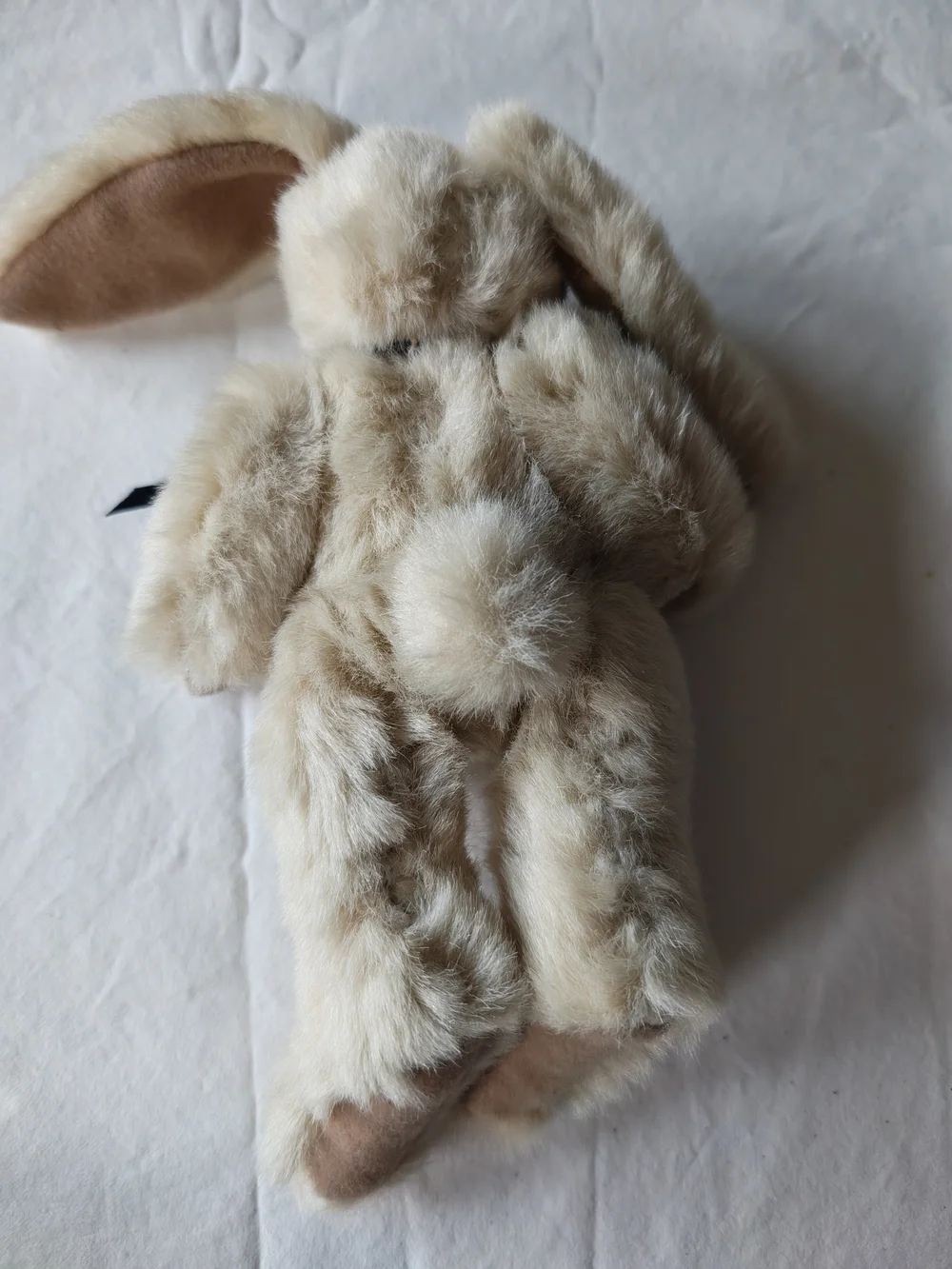 Source Unknown Cream Plush Bunny with Black Ribbon